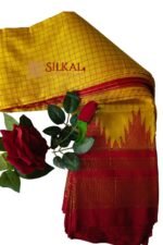 Ilkal Chadarunga Half Silk Handloom Saree